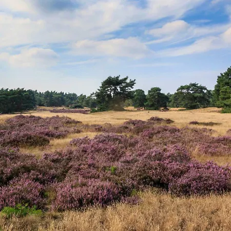 Holiday Safaritent 6l Voorthuizen